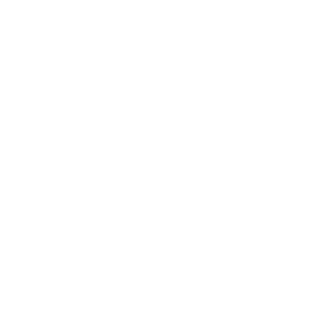 Logo Traffico